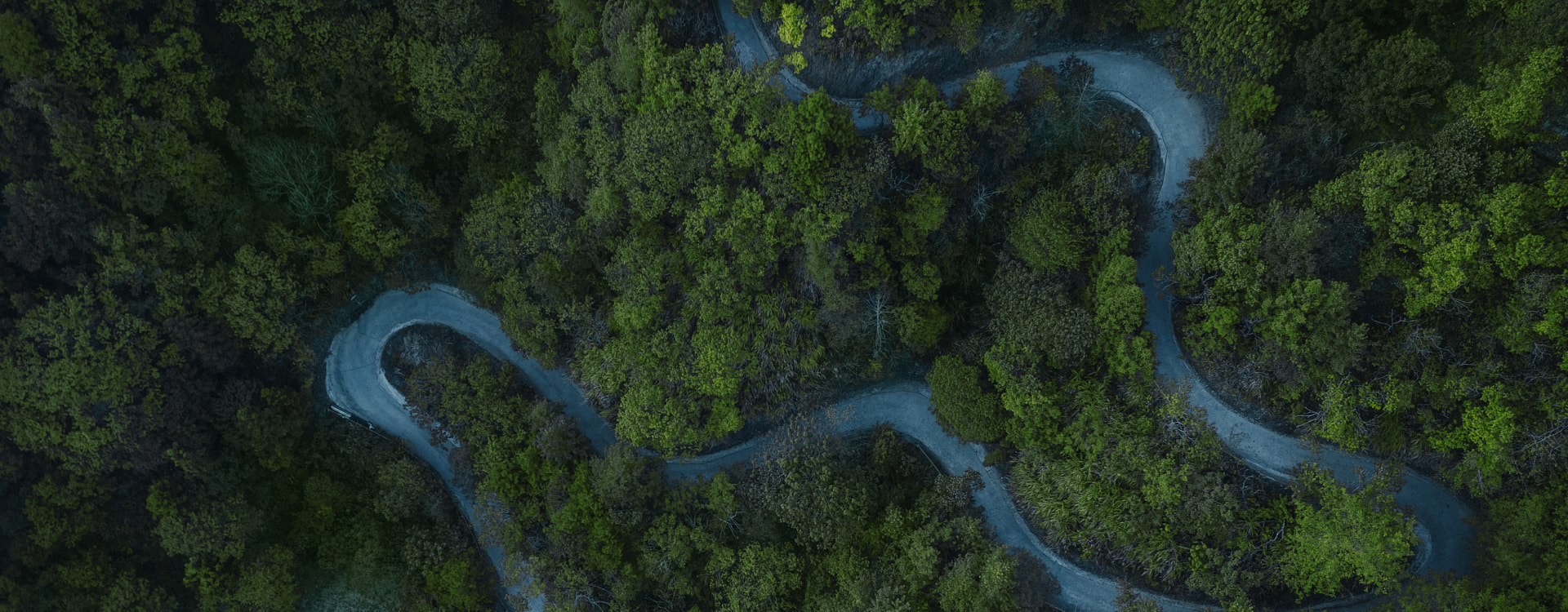 投資者關(guān)系